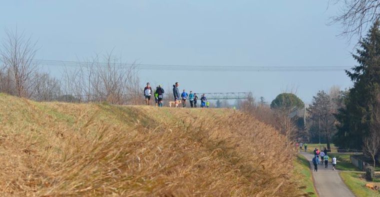 6 ore e Maratona IppoCiok